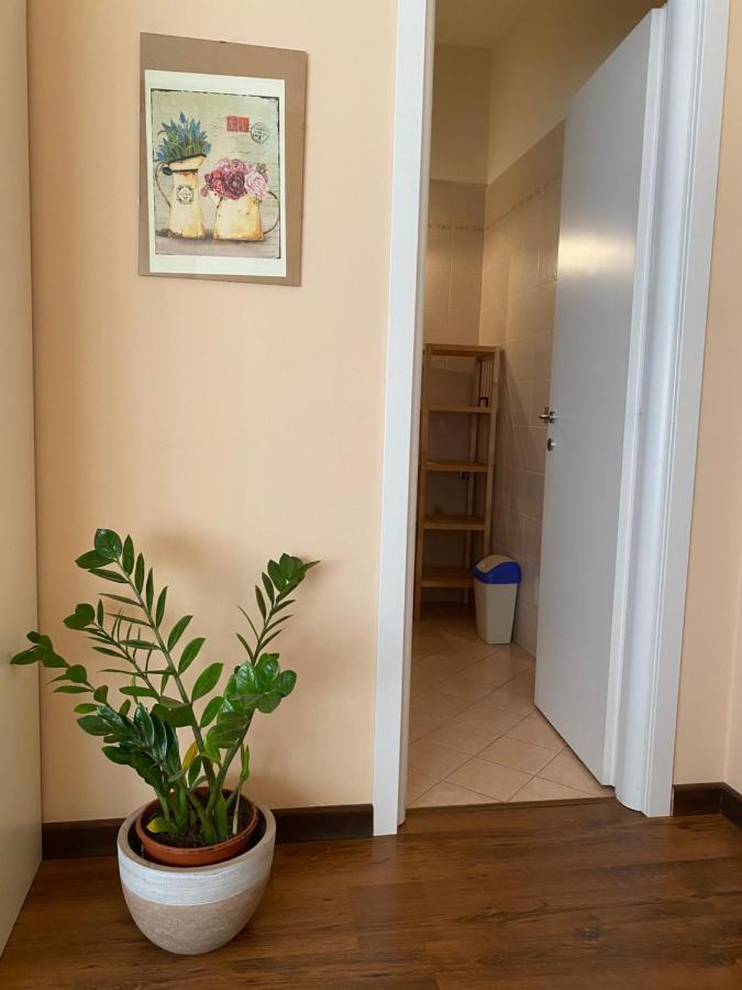 Bed and Breakfast Sogni E Colori Вилланова-д'Альбенга Экстерьер фото
